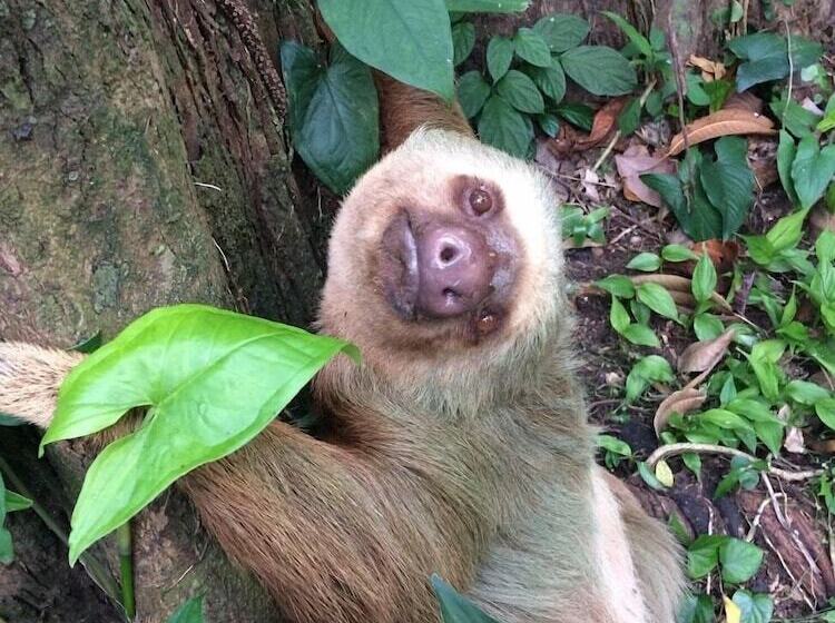 ホテル Casa Moabi