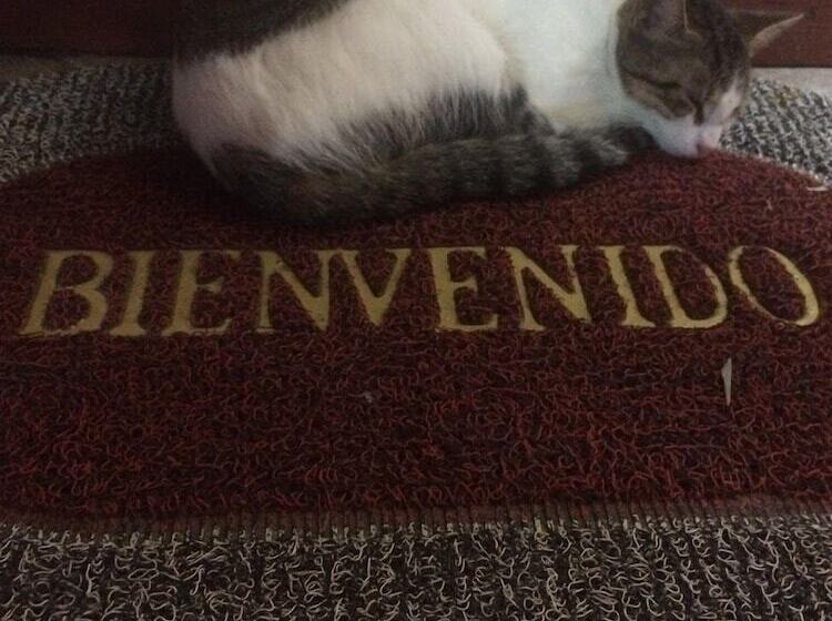 ホテル Casa Moabi