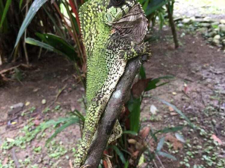 ホテル Casa Moabi