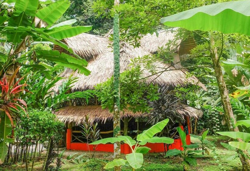 ホテル Casa Moabi