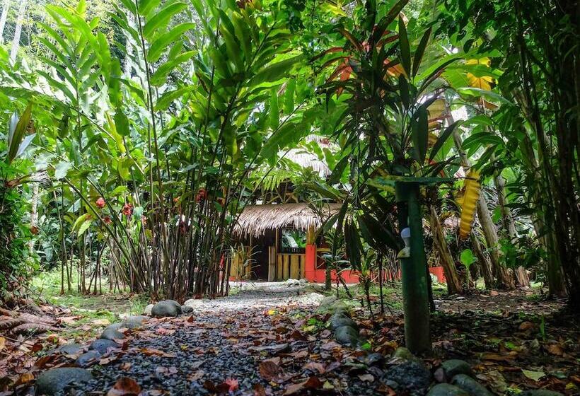 ホテル Casa Moabi