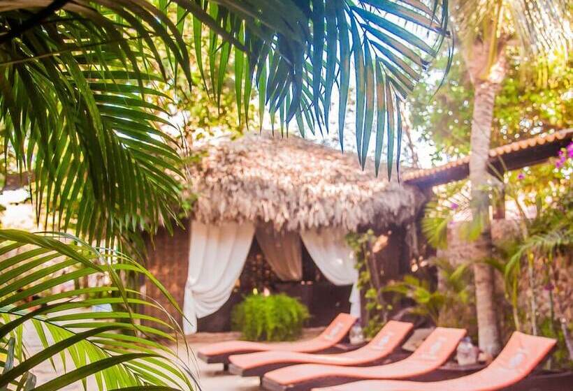 هتل Pousada Vento De Jeri