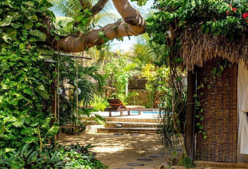 هتل Pousada Vento De Jeri