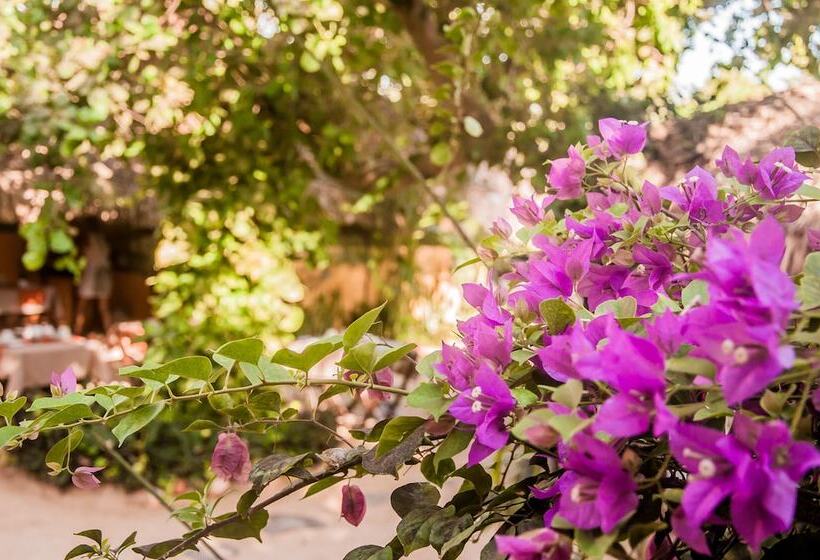 هتل Pousada Vento De Jeri