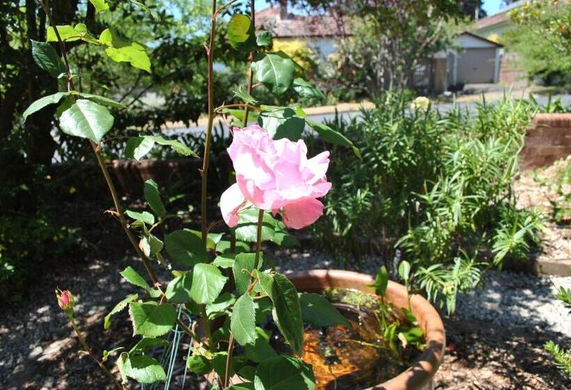 بنسيون Kurrara Historic Guest House