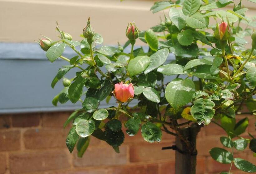 بنسيون Kurrara Historic Guest House