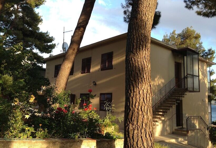 بنسيون Villa Sanja