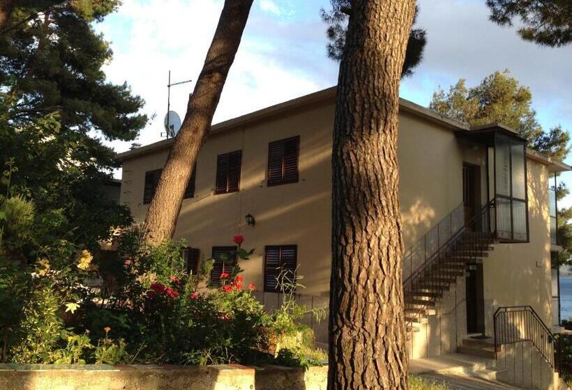 بنسيون Villa Sanja