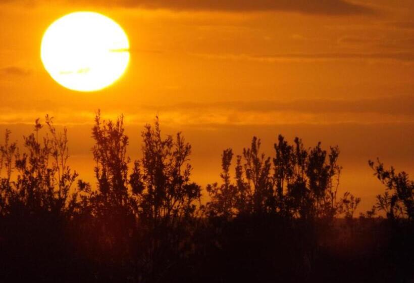 Surfside Merimbula Holiday Apartments