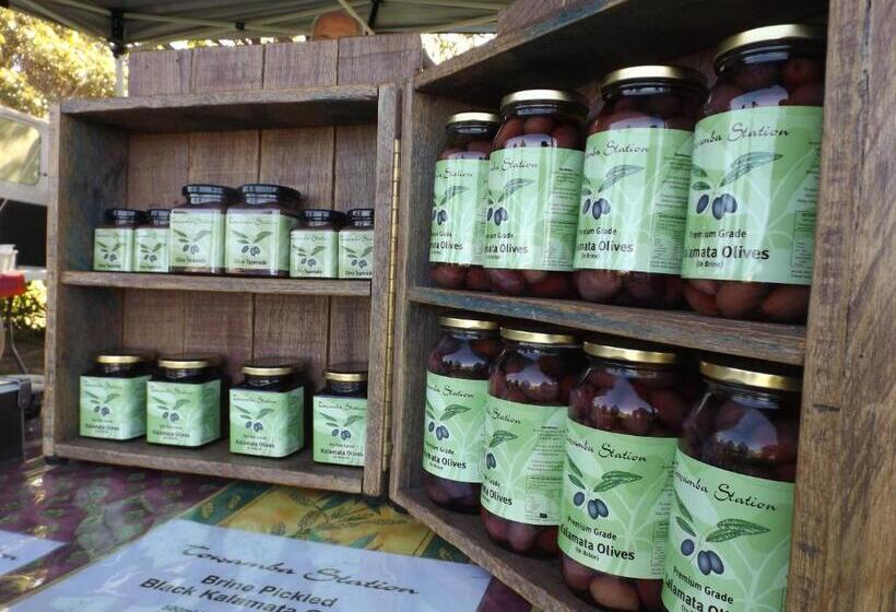 Surfside Merimbula Holiday Apartments