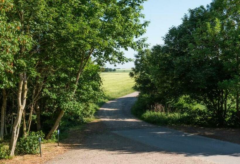 Adventure Park Apartments