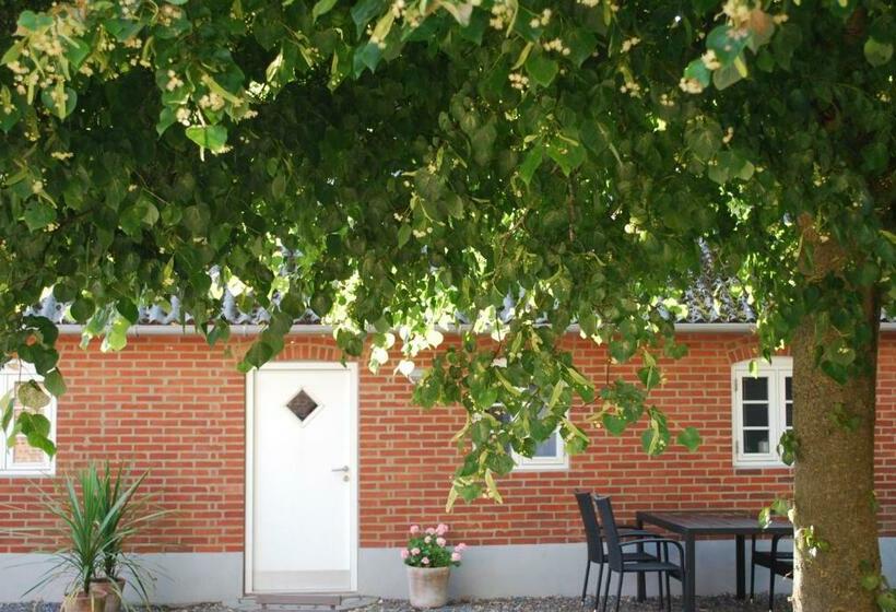 Adventure Park Apartments