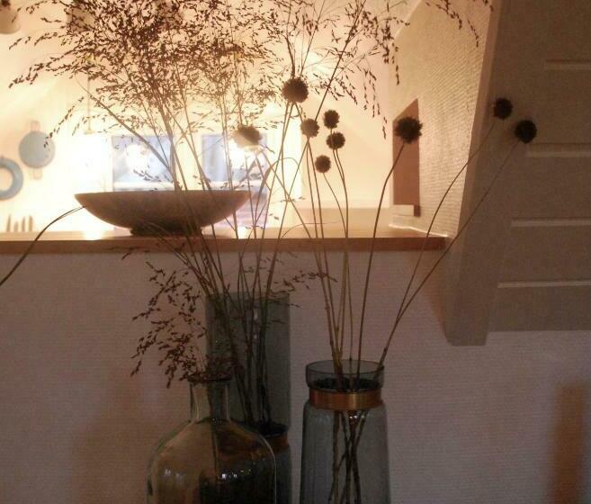 Adventure Park Apartments