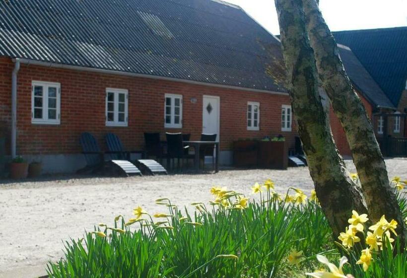 Adventure Park Apartments