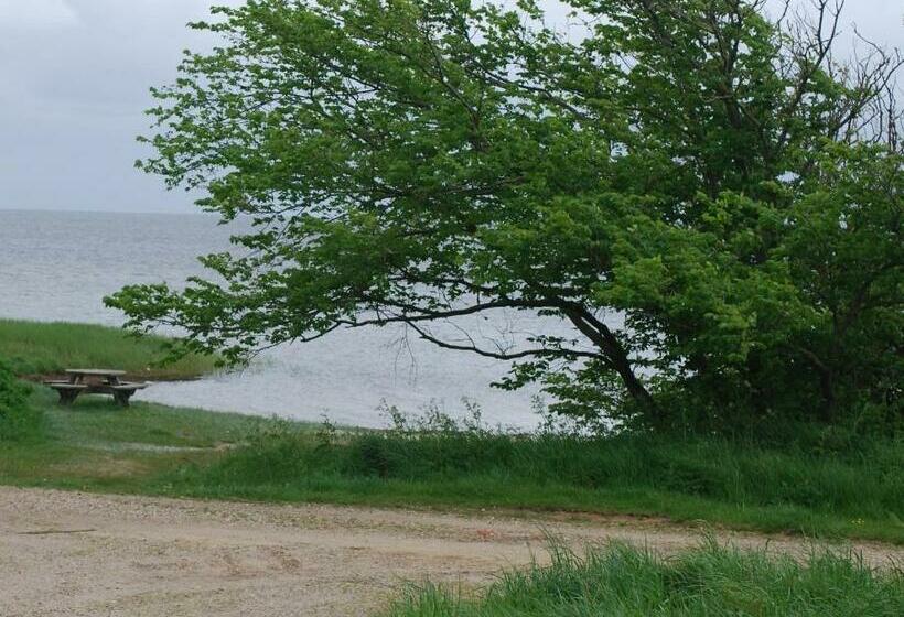 Adventure Park Apartments