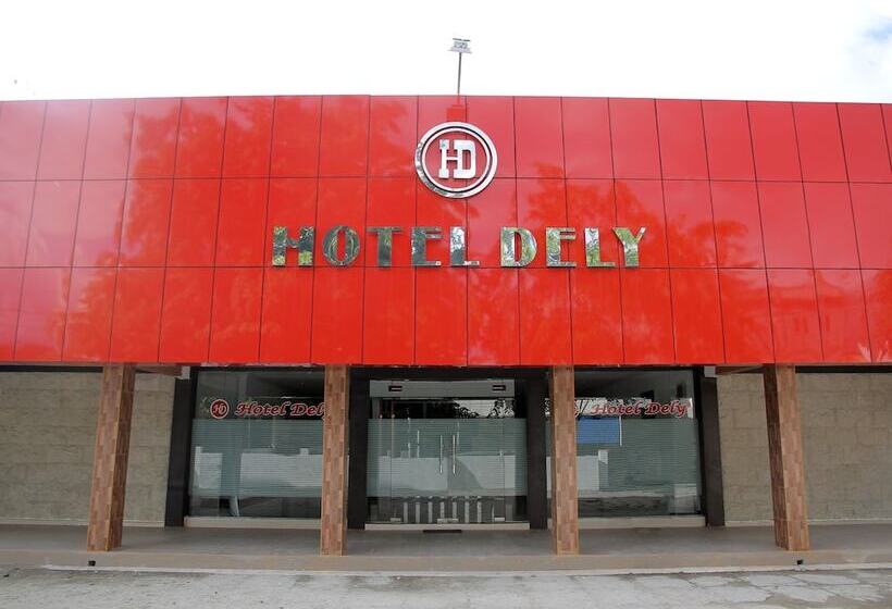 旅馆 Dely By Oyo Rooms