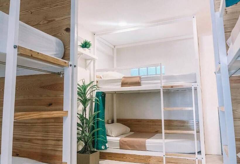 هاستل Murals Mactan