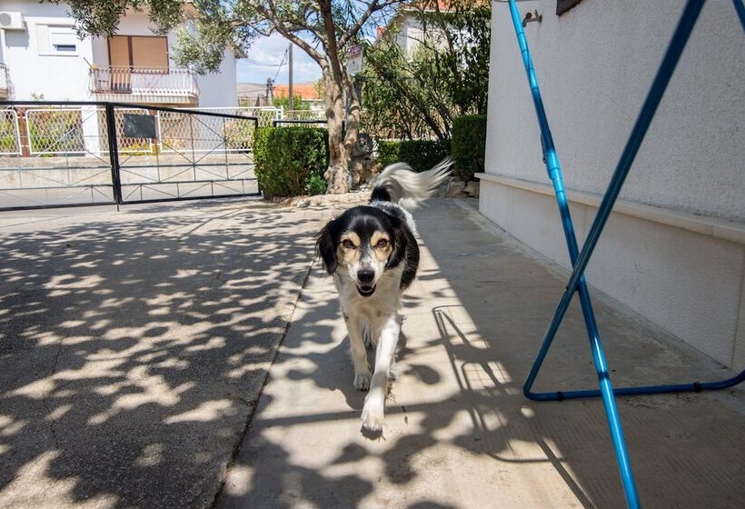 Apartment And Rooms Ruza