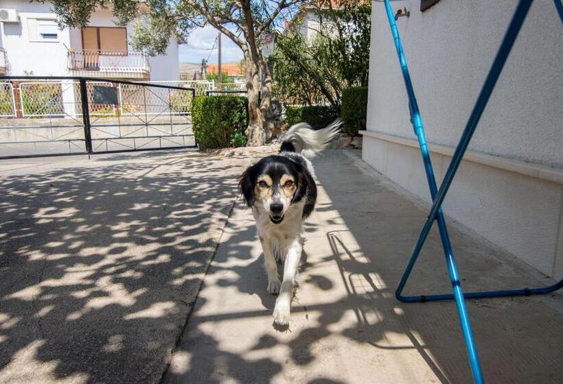 Apartment And Rooms Ruza