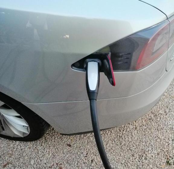 Apartments Jerkunica