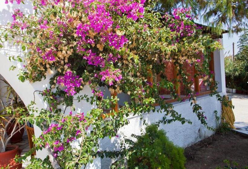 בית מלון כפרי Anna Studios