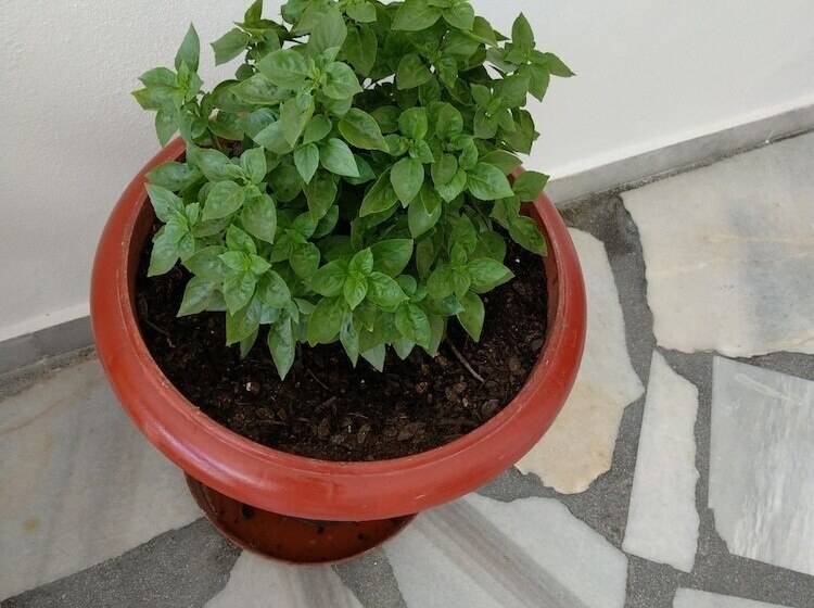 בית מלון כפרי Anna Studios