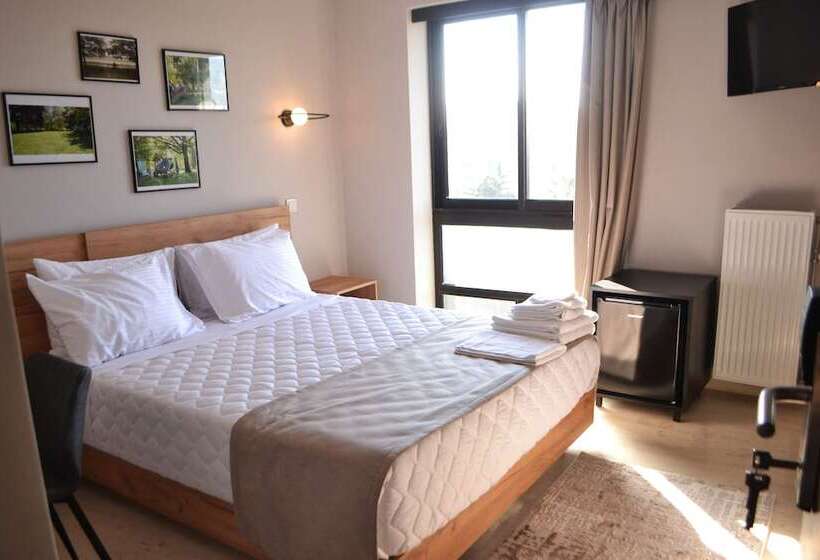 ホテル Athens Iris