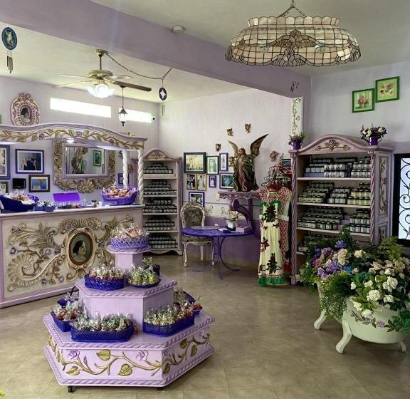 فندق Casa Morada