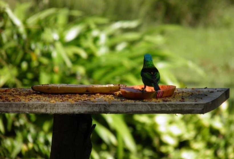 ホテル Fazenda Rio Grande