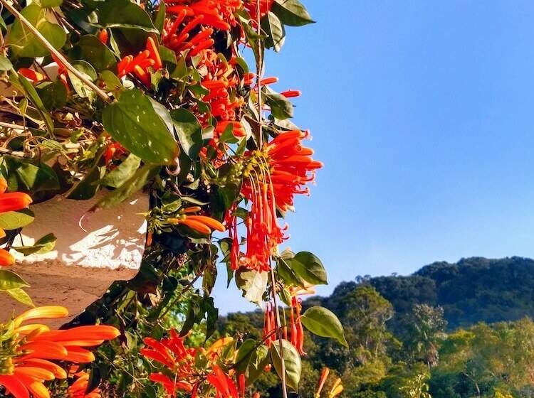 ホテル Fazenda Rio Grande