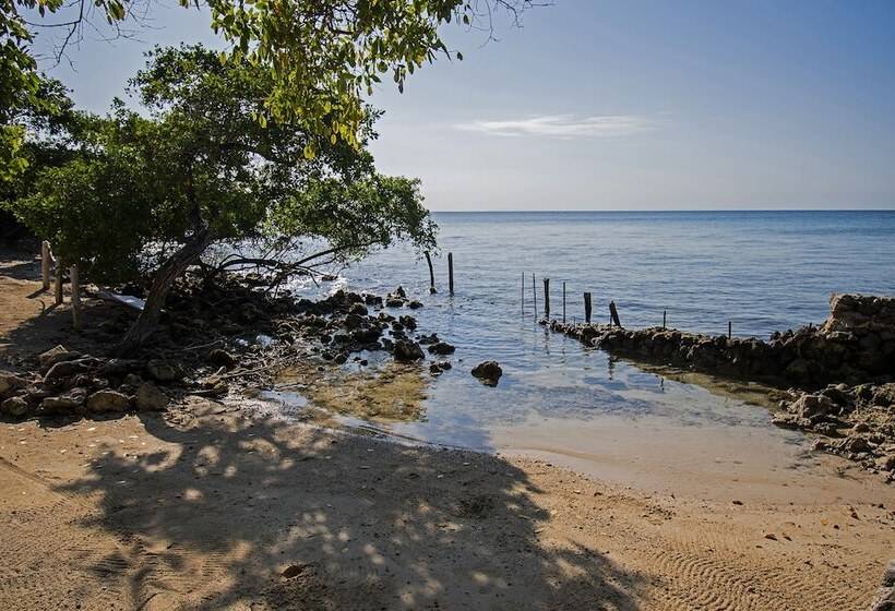 فندق Isla Tijereto