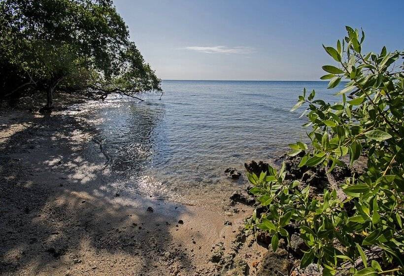 فندق Isla Tijereto