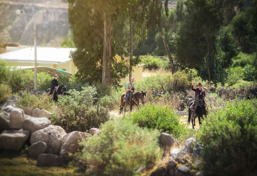 هتل Le Foyer Colca