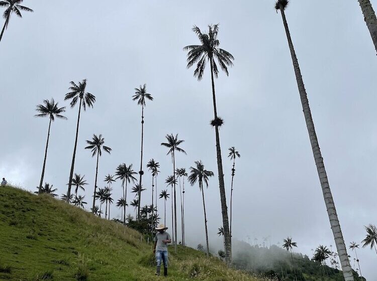 هتل Muchosur Quimbaya