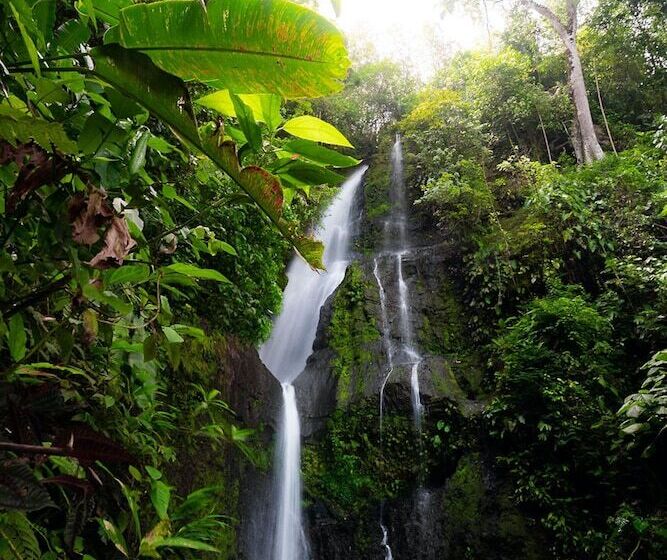 هتل Muchosur Quimbaya