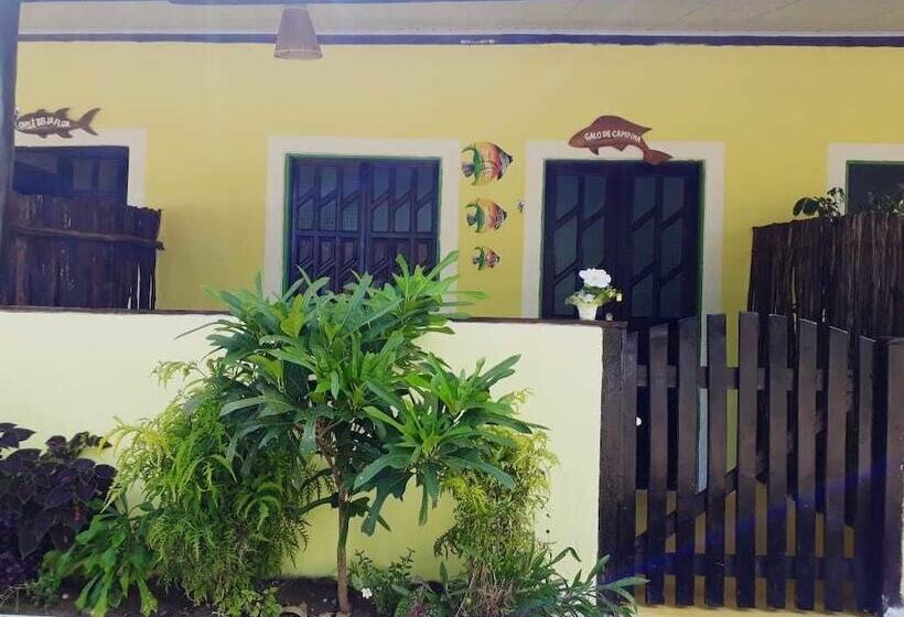 בית מלון כפרי Pousada Vale Encantado