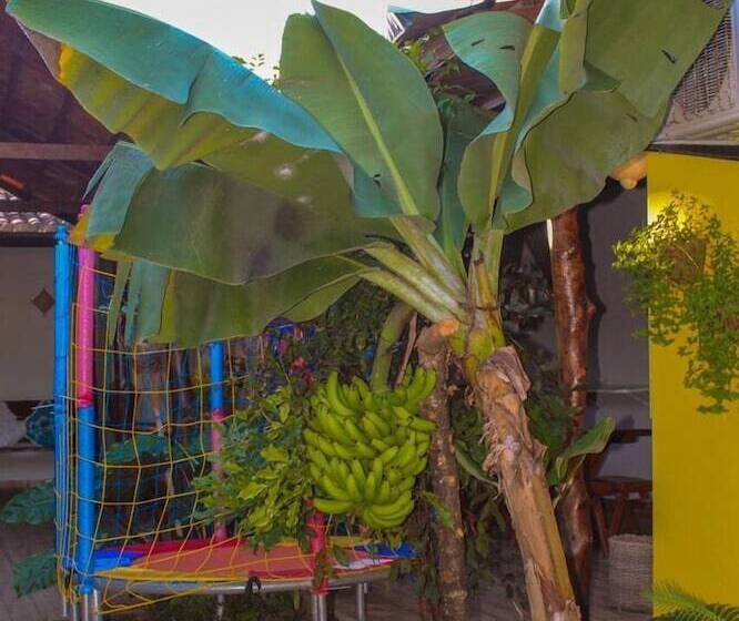 בית מלון כפרי Pousada Vale Encantado