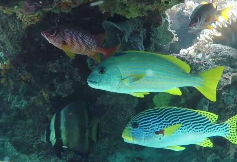 בית מלון כפרי Pousada Vale Encantado