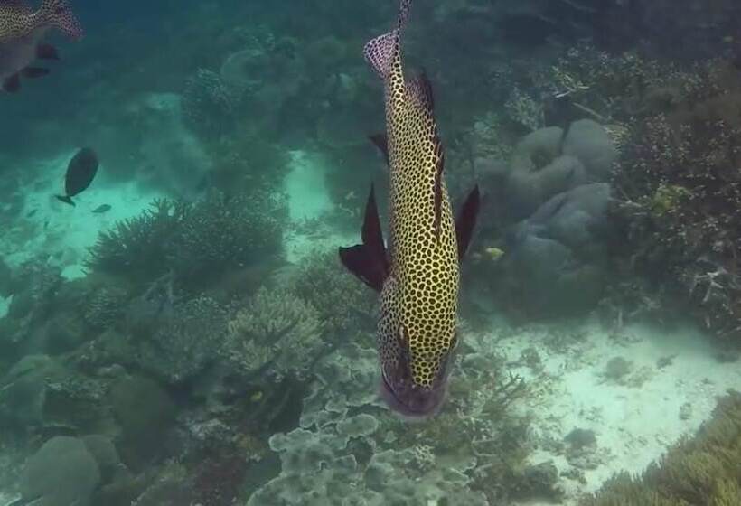 בית מלון כפרי Pousada Vale Encantado