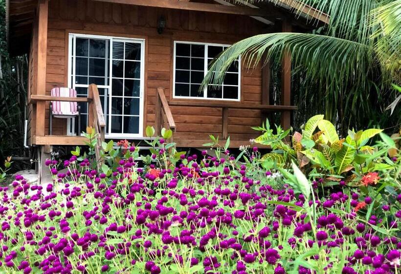 ホテル Seaside Chateau Resort