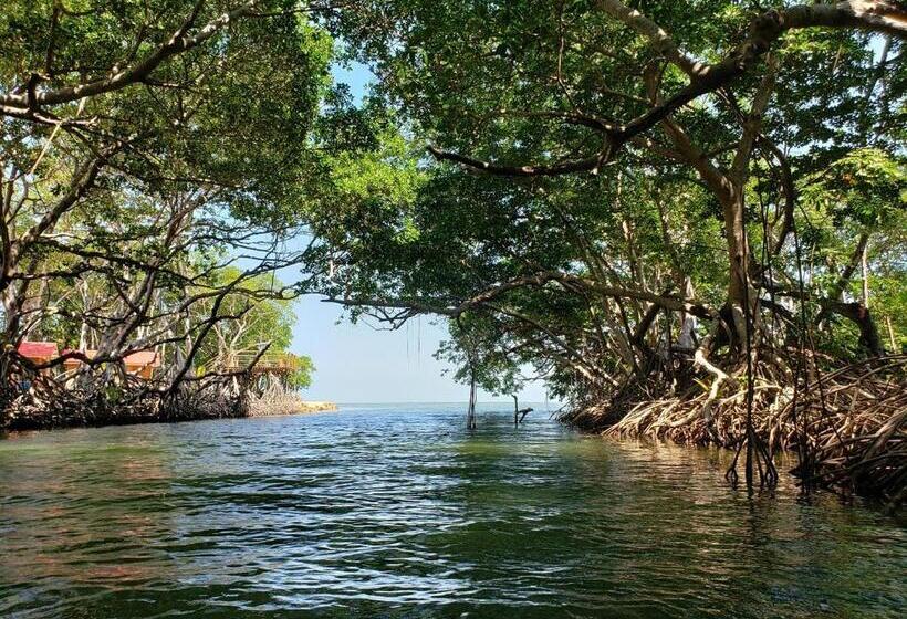 ホテル Seaside Chateau Resort