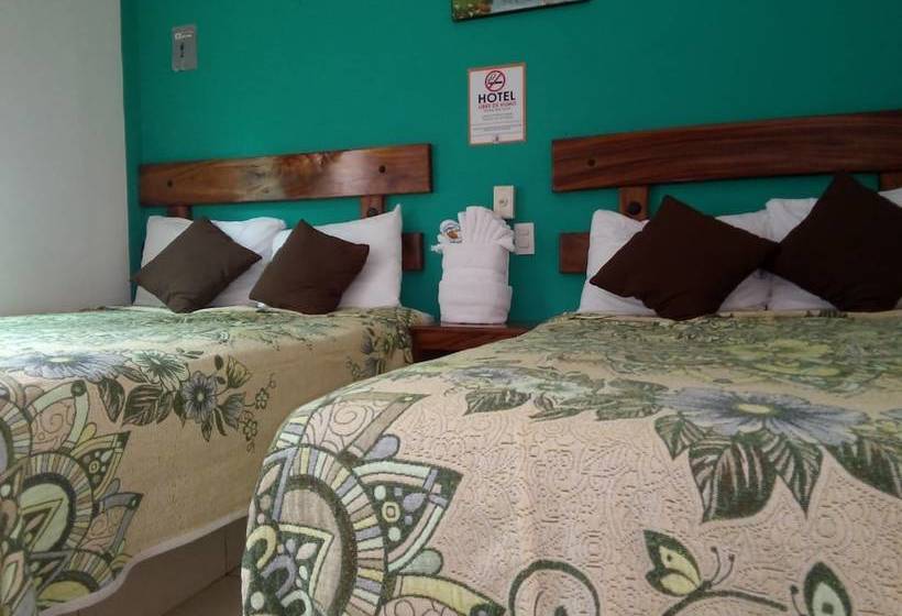 فندق Simón Beach