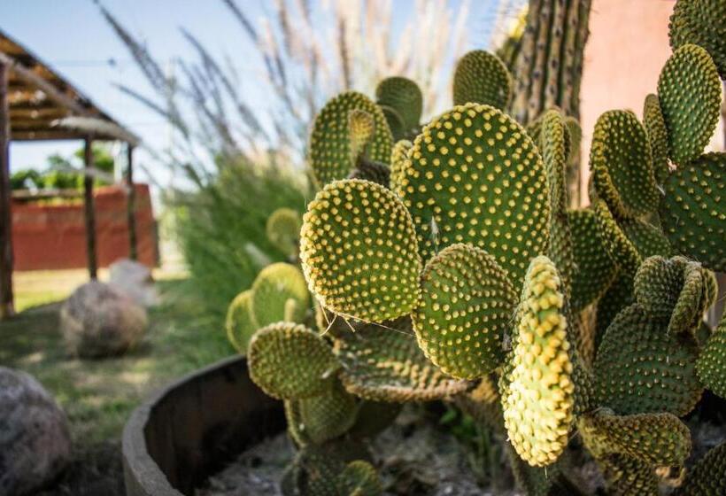La Guadalupe Cabañas