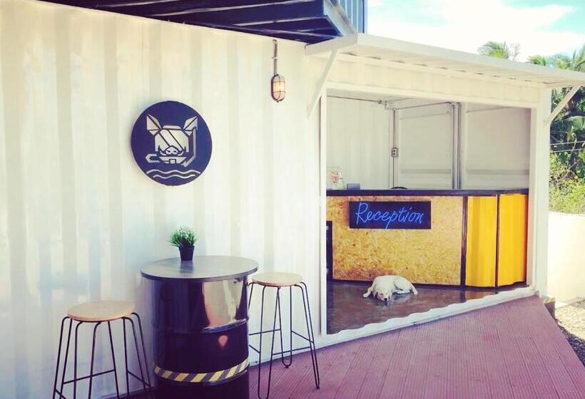 Pig Dive Hostel Moalboal
