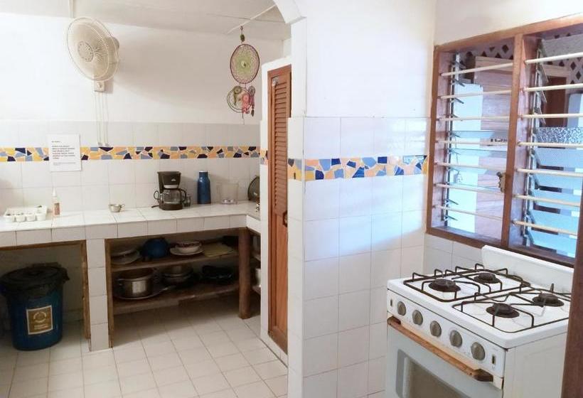 هاستل Republika Divanga