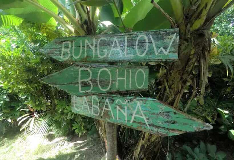 تختخواب و صبحانه Casa Picaflor