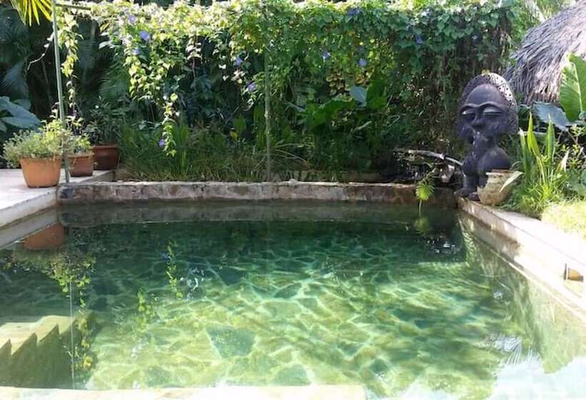 تختخواب و صبحانه Casa Picaflor