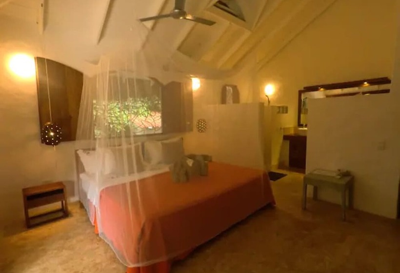 تختخواب و صبحانه Casa Picaflor