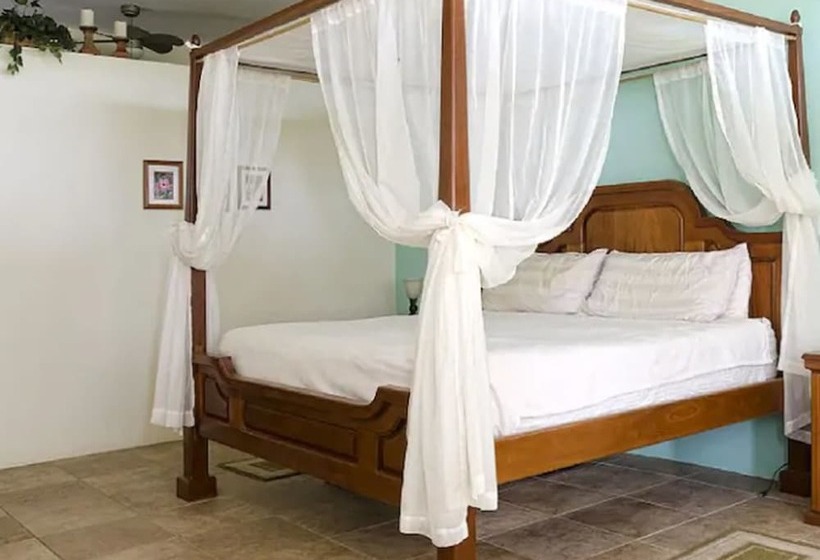 Belize Beach Condos