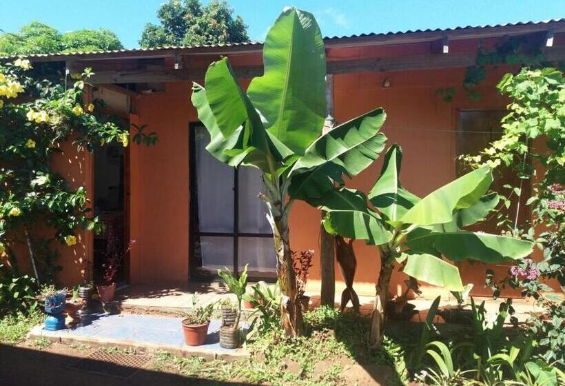 여관 Cabañas Vai Hinaaro